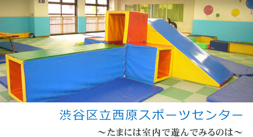 渋谷区立西原スポーツセンター たまには室内で遊んでみるのは
