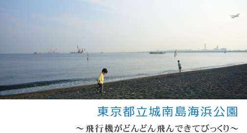 東京都立城南島海浜公園　飛行機がどんどん飛んできてびっくり